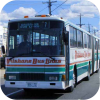 Brisbane Bus Lines' fleet images